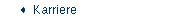 Karriere