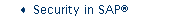 Security in SAP (R)