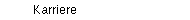 Karriere